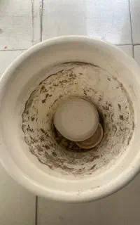 گلدان پلاستیک خیلی بزرگ