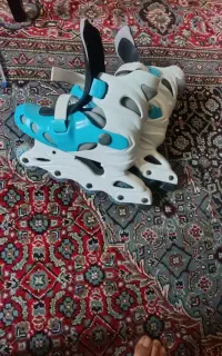 کقش اسکیت