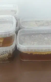عسل طبیعی کوهستان