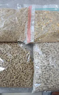 خوراک دام عمده