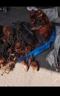 خرید فروش ضایعات آهن در صورت نقدی درمنزل