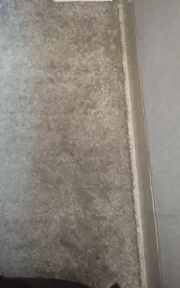 موکت پرز بلند