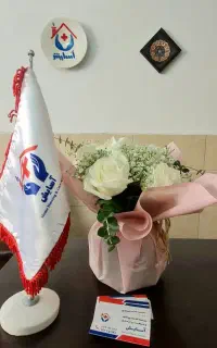 موسسه مجاز خدمات پرستاری در منزل (تزریقات وصل سرم)