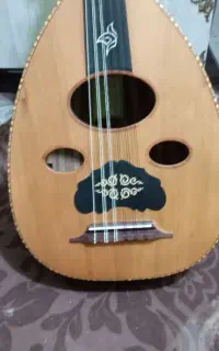 زریاب 1 ویژه با پیکاب