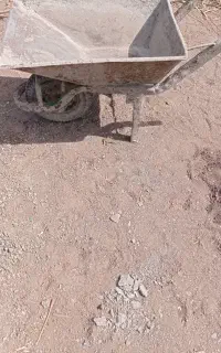 فرغون
