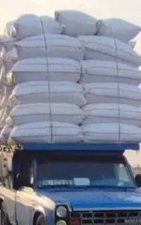 کاه گندم