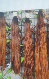 خریدار اصلی  موی طبیعی به بالاترین قیمت
