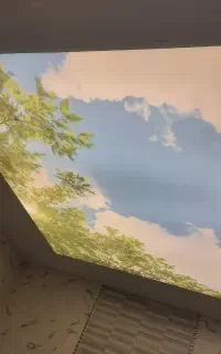 ایگدری هستم نصاب انواع سقف کاذب