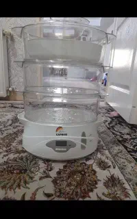 بخار پز