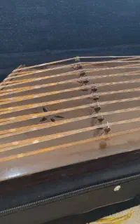 سه سنتور حرفه ای