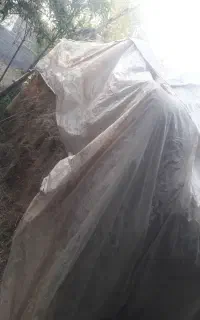 سرچینا (کاه )