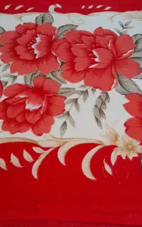 پتودونفره دولایه