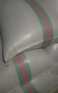 شلتوک