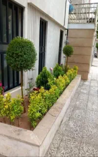 خدمات باغبانی کاشت گل وگیاه باغچه کاری تعویض گلدون