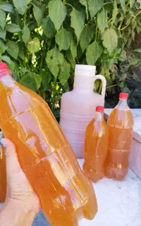 آب سرکه سیب به شرط تست