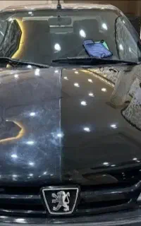 واکس،پولیش،دمپینگ، لیسه گیری