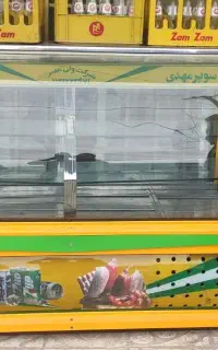 یخچال ویترینی
