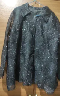 بلیز مجلس