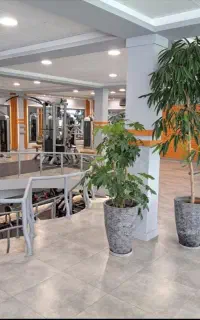 کاهش وزن تضمینی، برنامه بدنسازی و تغذیه اختصاصی