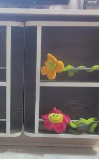 سرویس خواب نوجوان