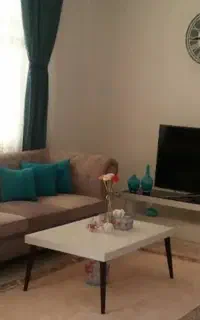 نیاز به خانم برای انجام کارهای روزانه خانه