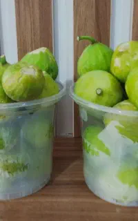 فروش انجیر