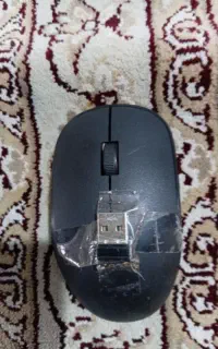 موس بلوتوس