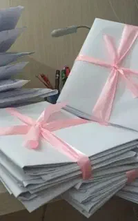 الگوی آماده بدون پرو