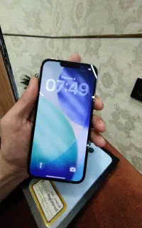 iphone  13 promax