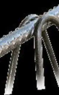 فروش تیرچه صنعتی مستقیم ازکارخانه با ارسال رایگان