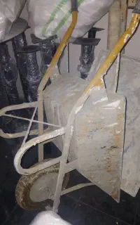 فرغون کاملا سالم و جنس خوب