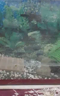 آکواریوم یک‌متری در عرض ۴۰ و ارتفاع ۵۰