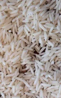 فروش برنج هاشمی اعلا وطارم محلی گیلان گیلان