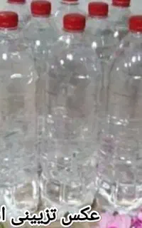 گلاب خانگی