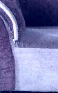 مبل