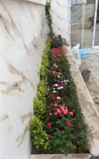 خدمات باغبانی و گل گیاه آپارتمانی