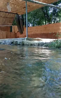 باغ تفریحی سپیدان روستای دلخان
