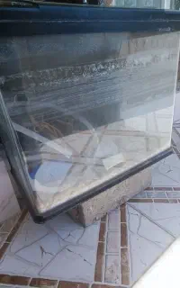 آکواریوم ماهی