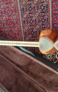 تار محراب