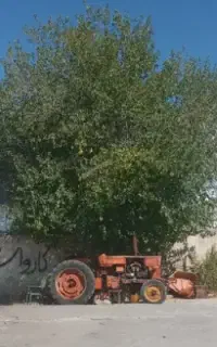 اجاره زمین کشاورزی