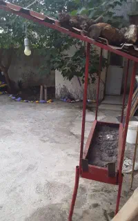 منقل کباب و قلیان
