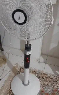 پنکه تولیپس و پارس خزر