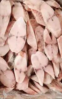 پخش عمده فیله ماهی شیر منجمد جنوب