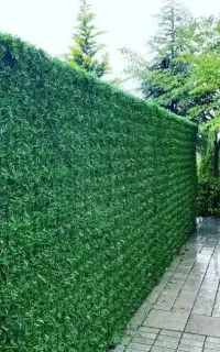 تولید فنس چمن گالوانیزه