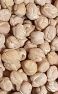 خریدار نخود درشت