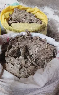 کود حیوانی(کبوتر)