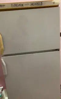 یخچال ۱۳ فوت