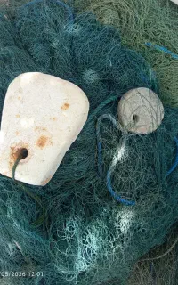 تور ماهیگیری