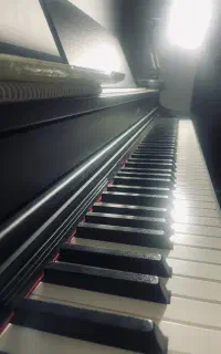 پیانو کاسیو Casio AP470