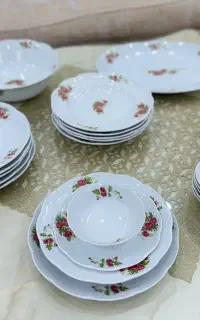 سرویس چینی گل سرخی نو